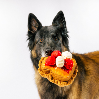 P.L.A.Y. x IHOP Breakfast Sampler Plush Dog Toy | Henlo Pets