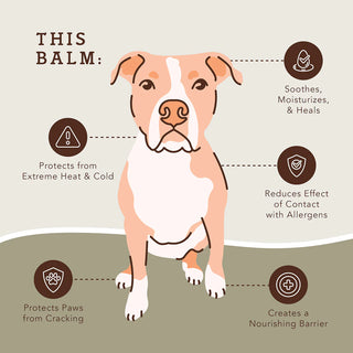 Natural Dog Company PawTection Tin | Henlo Pets