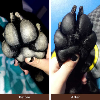 Natural Dog Company PawTection Tin | Henlo Pets