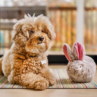 P.L.A.Y. Forest Friends Plush Dog Toy Collection | Henlo Pets