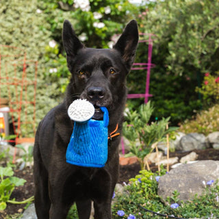 P.L.A.Y. Blooming Buddies Plush Dog Toy Collection | Henlo Pets