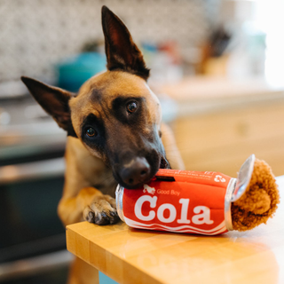 P.L.A.Y. Snack Attack Plush Dog Toy Collection | Henlo Pets