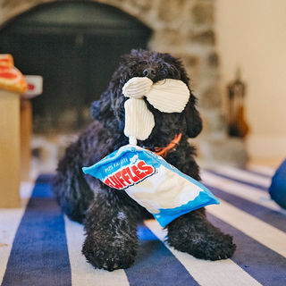P.L.A.Y. Snack Attack Plush Dog Toy Collection | Henlo Pets