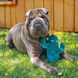 P.L.A.Y. Blooming Buddies Plush Dog Toy Collection | Henlo Pets