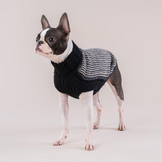 Alqo Wasi Popcorn Black Alpaca Dog Sweater | Henlo Pets