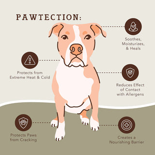 Natural Dog Company Travel Stick | Henlo Pets