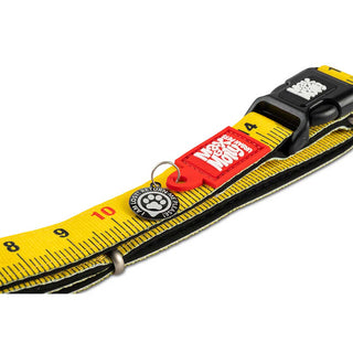 Max & Molly Ruler Smart ID Dog Collar | Henlo Pets