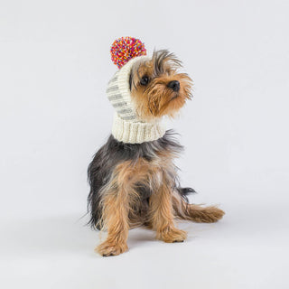 Alqo Wasi Rainbow Alpaca Dog Snood | Henlo Pets