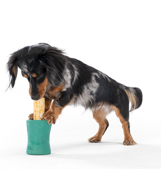 West Paw x Earth Animal Funnl Treat Dispensing Dog Toy | Henlo Pets