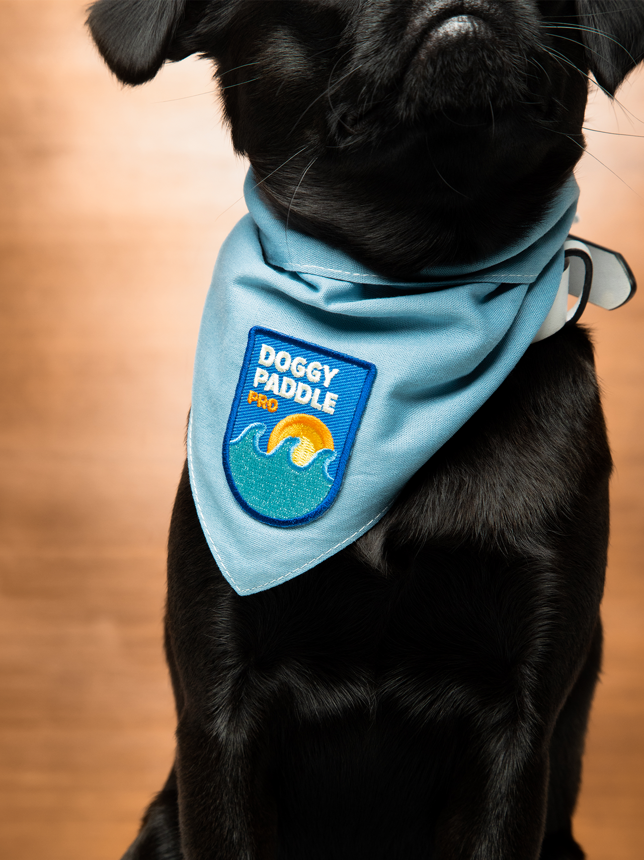 Scout's Honour "Paddle Pro" Iron-On Patch - Henlo Pets