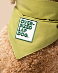 Scout's Honour "Oversized Lap Dog" Iron-On Patch - Henlo Pets
