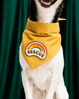Scout's Honour "Rescue🌈" Iron-On Patch - Henlo Pets
