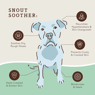 Natural Dog Company Snout Soother Stick | Henlo Pets