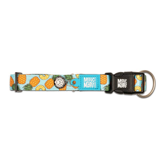 Max & Molly Sweet Pineapple Smart ID Dog Collar | Henlo Pets