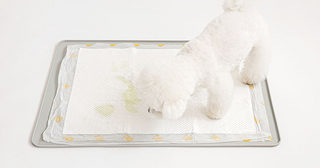 Bite Me XL Non Slip Pad Waterproof Silicon Mat | Henlo Pets