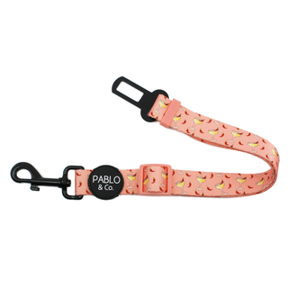 Pablo & Co Spicy Margarita Car Restraint | Henlo Pets