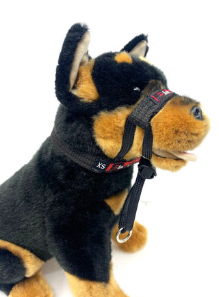 Black Dog Wear - Training Halter Black | Henlo Pets