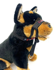 Black Dog Wear - Training Halter - Henlo Pets