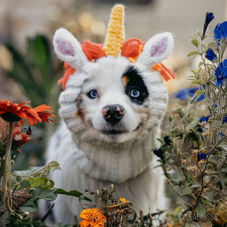 Zoo Snoods Unicorn Dog Snood | Henlo Pets