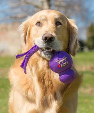KONG - Wubba Tug Dog Toy Small | Henlo Pets