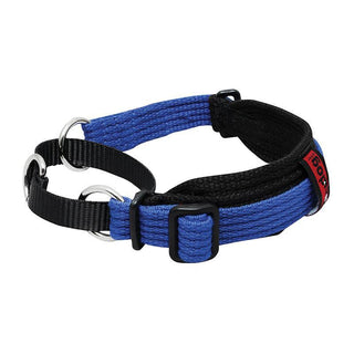 Black Dog Wear - Whippet Two Tone Martingale Collar Blue | Henlo Pets