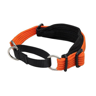 Black Dog Wear - Whippet Two Tone Martingale Collar Orange | Henlo Pets