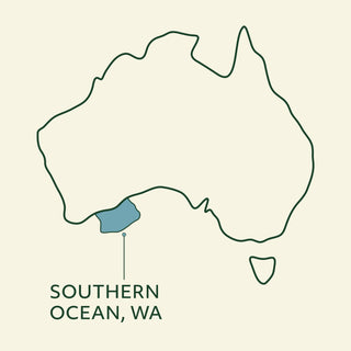 Wildkind Southern Ocean Air Dried Pilchards | Henlo Pets