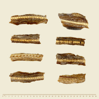 Wildkind Southern Ocean Air Dried Shark Cartilage | Henlo Pets