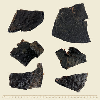 Wildkind Western Australian Air Dried Beef Liver | Henlo Pets