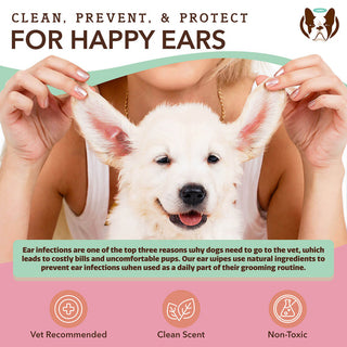 Natural Dog Company Ear Wipes | Henlo Pets