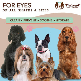 Natural Dog Company Eye Wipes | Henlo Pets