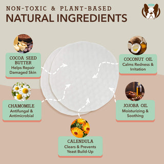 Natural Dog Company Paw Wipes | Henlo Pets