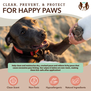 Natural Dog Company Paw Wipes | Henlo Pets