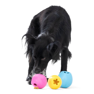 West Paw Rumbl Treat Dispensing Dog Toy | Henlo Pets