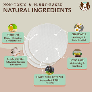 Natural Dog Company Snout Wipes | Henlo Pets