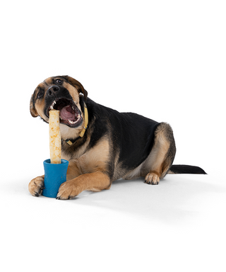West Paw x Earth Animal Funnl Treat Dispensing Dog Toy | Henlo Pets