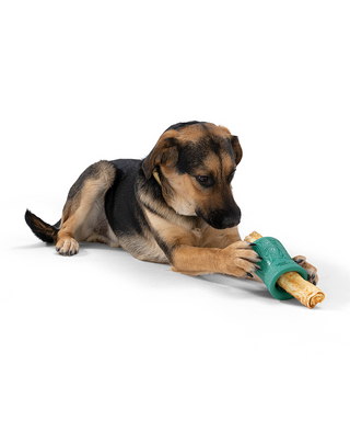 West Paw x Earth Animal Funnl Treat Dispensing Dog Toy | Henlo Pets