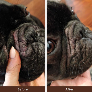 Natural Dog Company Wrinkle Balm Tin | Henlo Pets