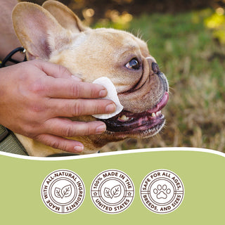 Natural Dog Company Wrinkle Wipes | Henlo Pets
