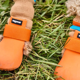 wagwear WagWellies Boots Yellow | Henlo Pets