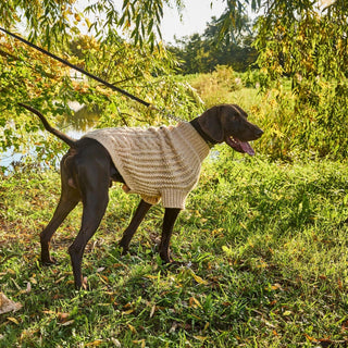 wagwear Fisherman Cozy Dog Sweater Natural | Henlo Pets