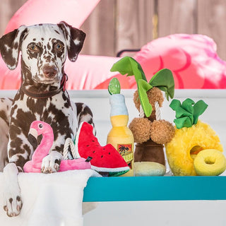 P.L.A.Y. Tropical Paradise Plush Dog Toy Collection | Henlo Pets