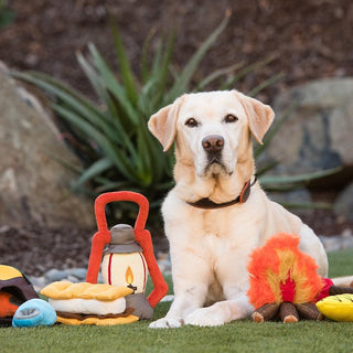 P.L.A.Y. Camp Corbin Plush Dog Toy Collection | Henlo Pets