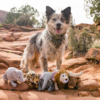P.L.A.Y. Big Five of Africa Plush Dog Toy Collection | Henlo Pets