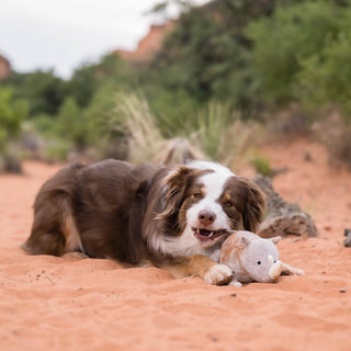P.L.A.Y. Big Five of Africa Plush Dog Toy Collection | Henlo Pets