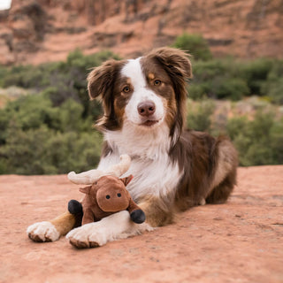 P.L.A.Y. Big Five of Africa Plush Dog Toy Collection | Henlo Pets