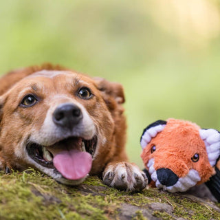 P.L.A.Y. Forest Friends Plush Dog Toy Collection | Henlo Pets