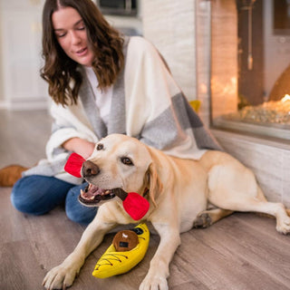 P.L.A.Y. Camp Corbin Plush Dog Toy Collection | Henlo Pets