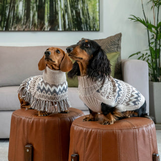 Alqo Wasi Woolly Winter Alpaca Dog Sweater | Henlo Pets