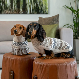 Alqo Wasi Woolly Winter Alpaca Dog Sweater | Henlo Pets